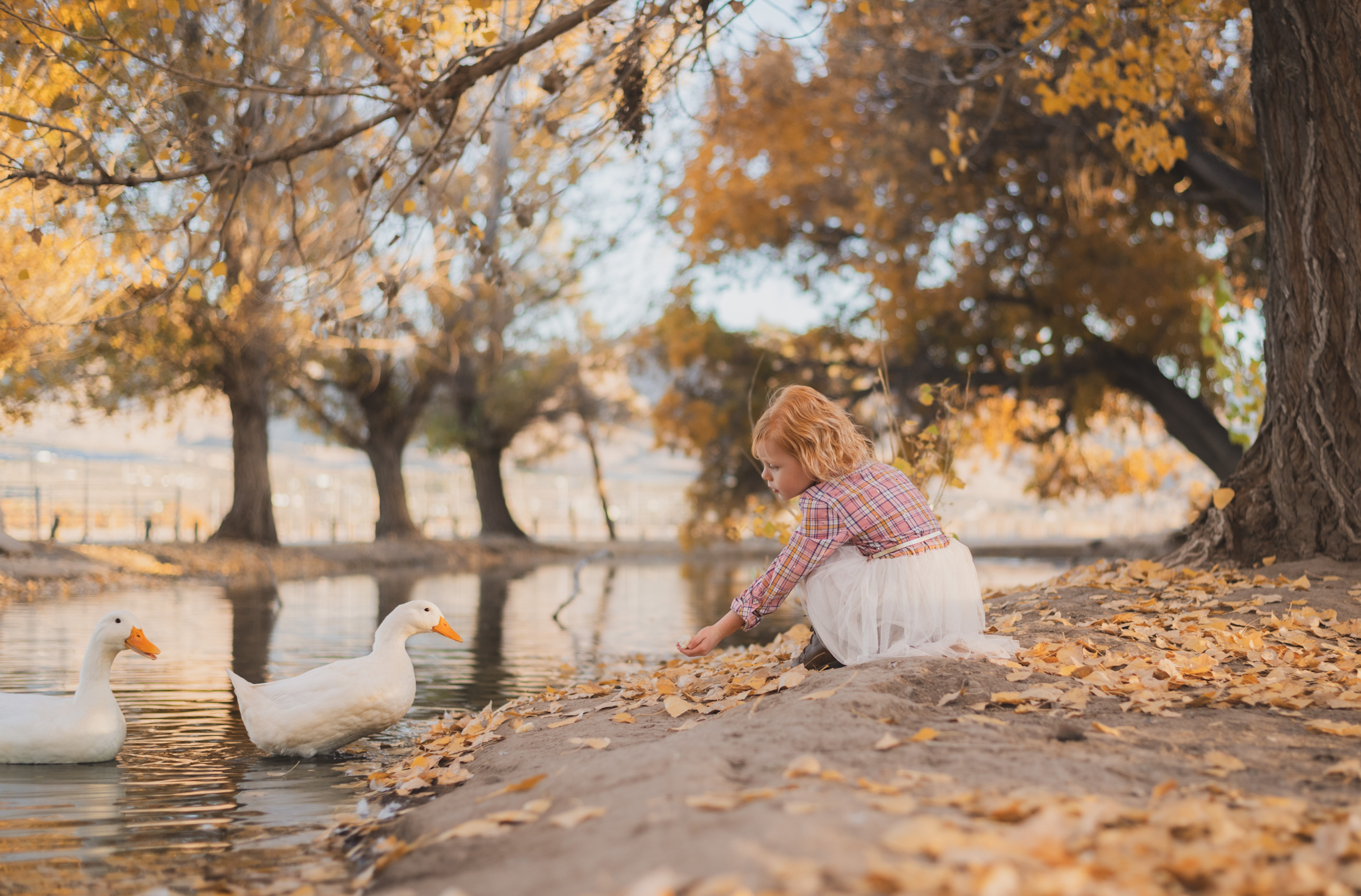 Dark and moody photo shoot of a four year old girl in a pink cowgirl dress at the Hesperia Lakes recreational park in Hesperia California. She is smiling and spinning for the inland empires best childr photographer. Big trees with lots of orange leaves are the backdrop of the lifestyle photoshoot in the high desert