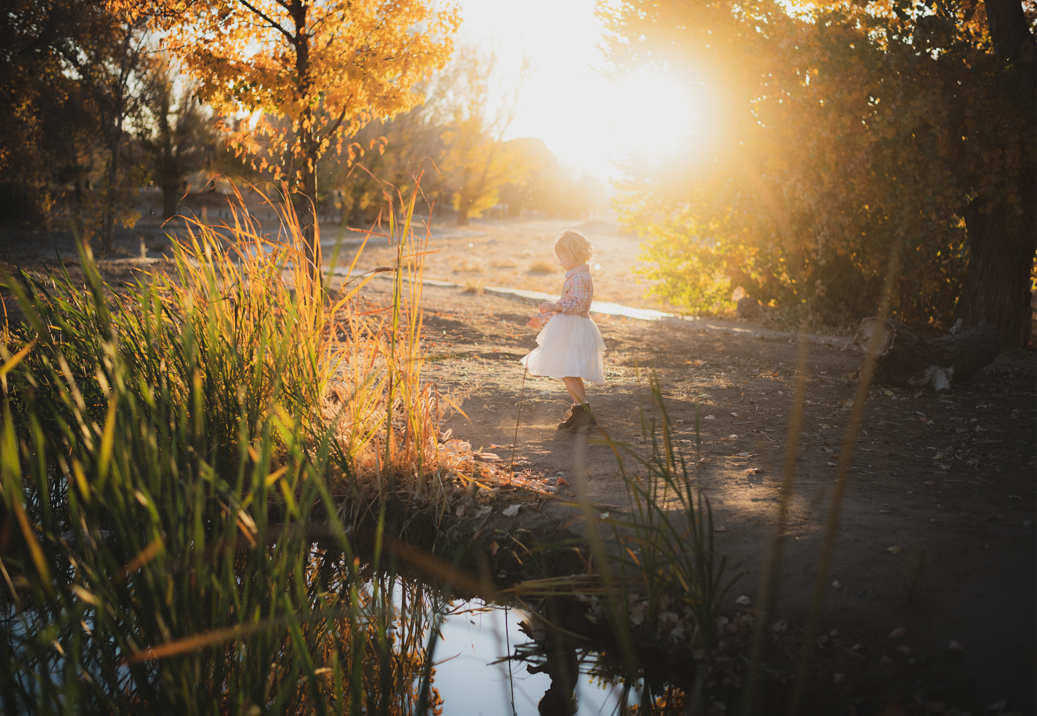 Dark and moody photo shoot of a four year old girl in a pink cowgirl dress at the Hesperia Lakes recreational park in Hesperia California. She is smiling and spinning for the inland empires best childr photographer. Big trees with lots of orange leaves are the backdrop of the lifestyle photoshoot in the high desert