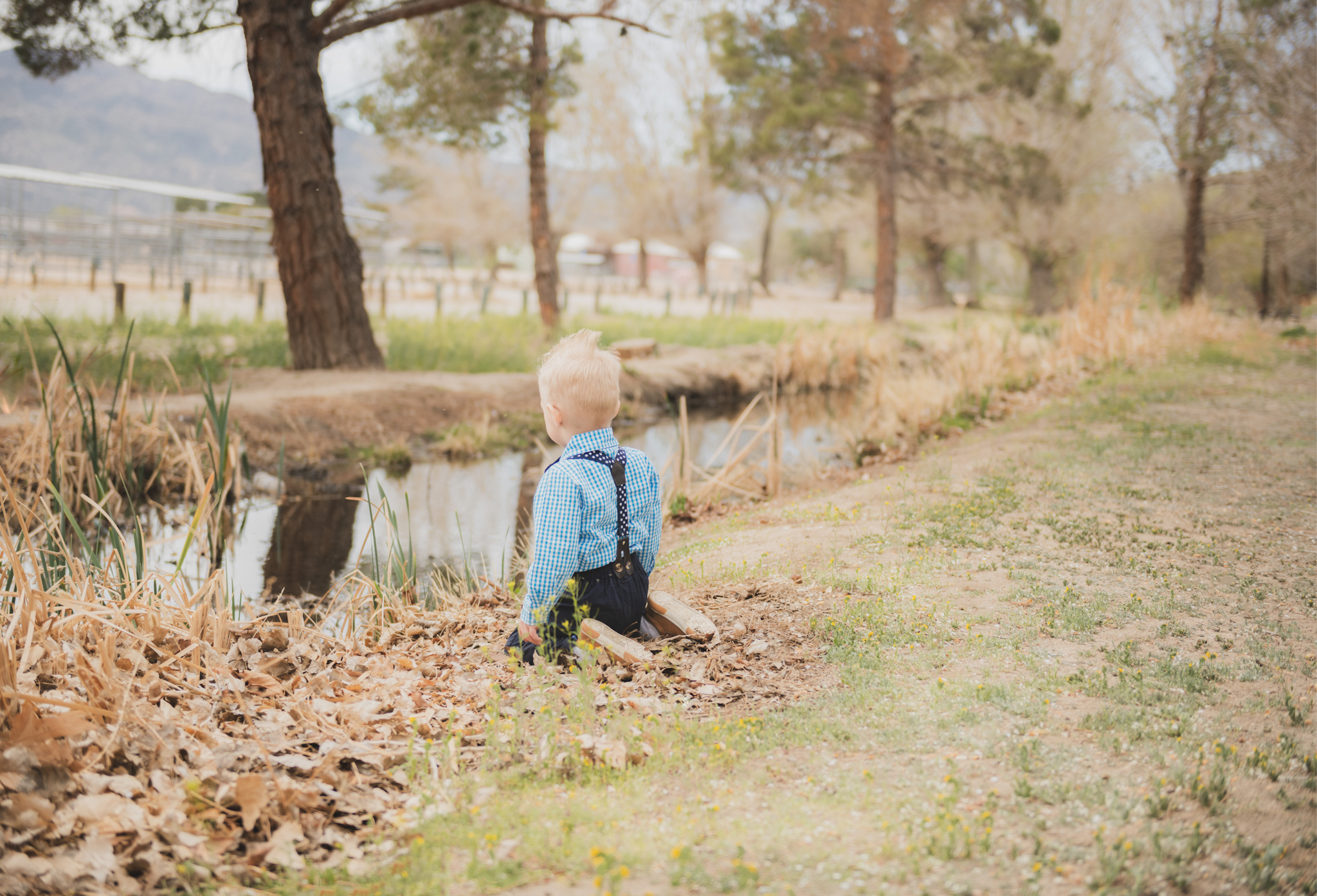 Light and air pictures of a three year old blonde boy playing in the grass at Hesperia Lakes park in Hesperia California in the High desert mountains. Little boy is playing with bubbles and laughing while wearing a blue bow tie and suspenders
