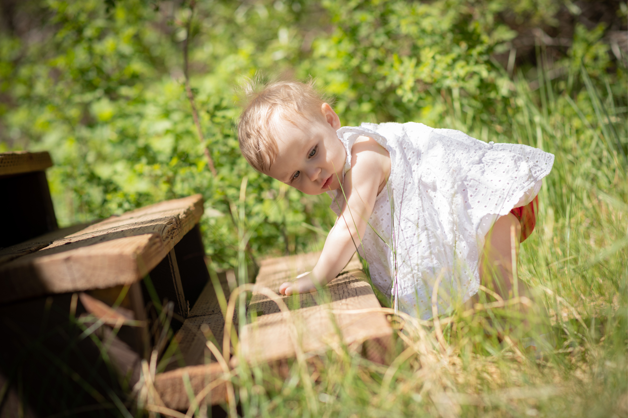 Light and airy pictures of a baby girl sitting on a magical bridge in the mountains of Wrightwood California. Baby is smashing a colorful cake and smearing it on her face in these high desert portraits