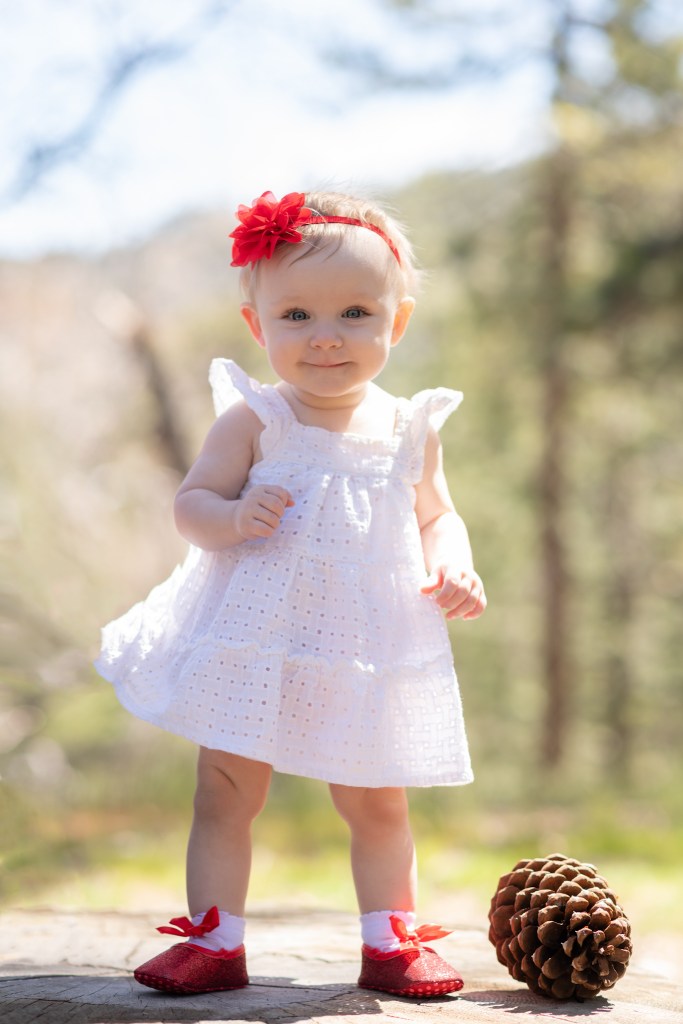 Light and airy pictures of a baby girl sitting on a magical bridge in the mountains of Wrightwood California. Baby is smashing a colorful cake and smearing it on her face in these high desert portraits
